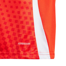 Load image into Gallery viewer, Chile Soccer Team Jersey 2024

